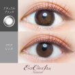 画像3: 【SALE（期限切れ間近の為）】【EverColor 1day Natural （エバーカラーワンデーナチュラル）】（ナチュラルブラック）（1箱20枚入り）1日使い捨てカラーコンタクト【カラコン】 (3)